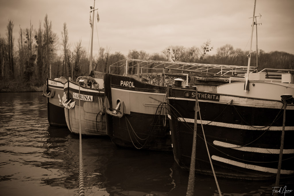 Quatuor de péniches sur la Seine