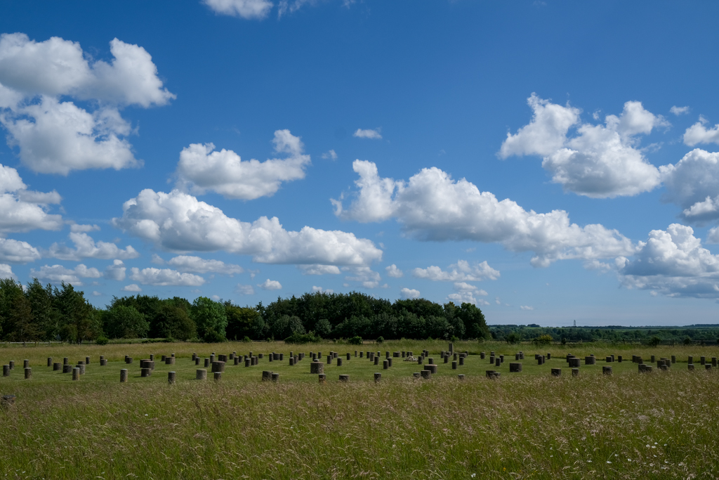 Avenue Verte 190606 1545 140