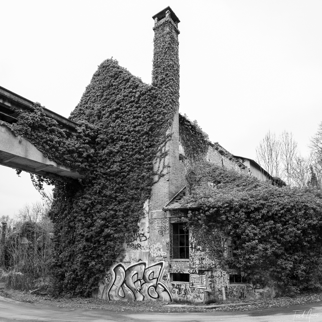Usine Tourteaux