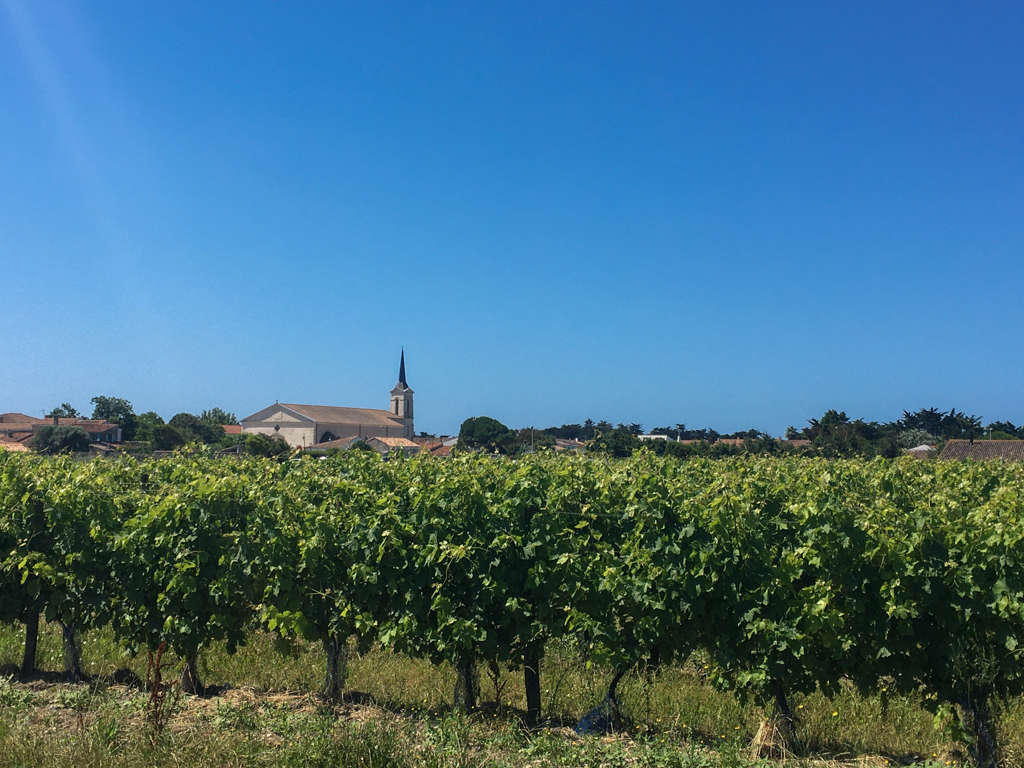 Ile de Ré
