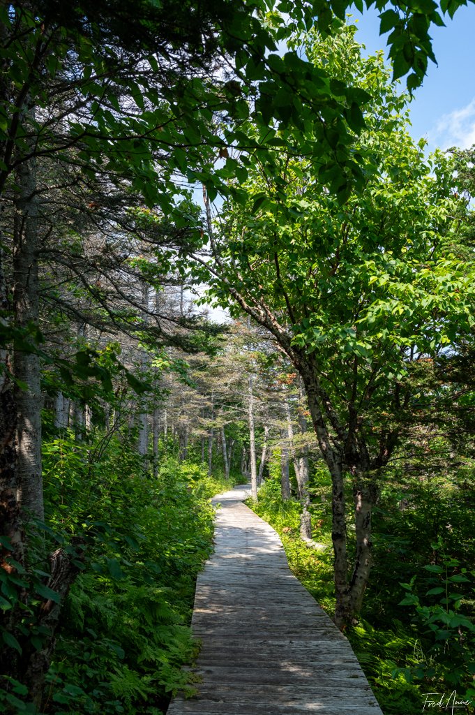 Pointe de la renommée – Gaspésie – Québec – Canada