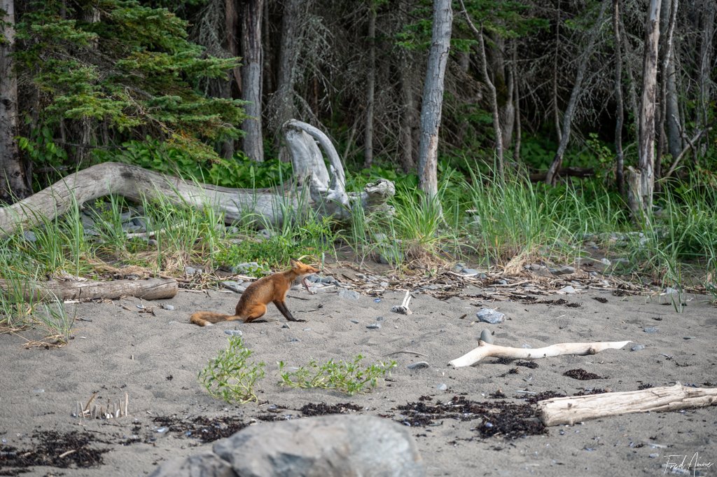 Bas-Saint-Laurent – Parc du Bic – Québec – Canada