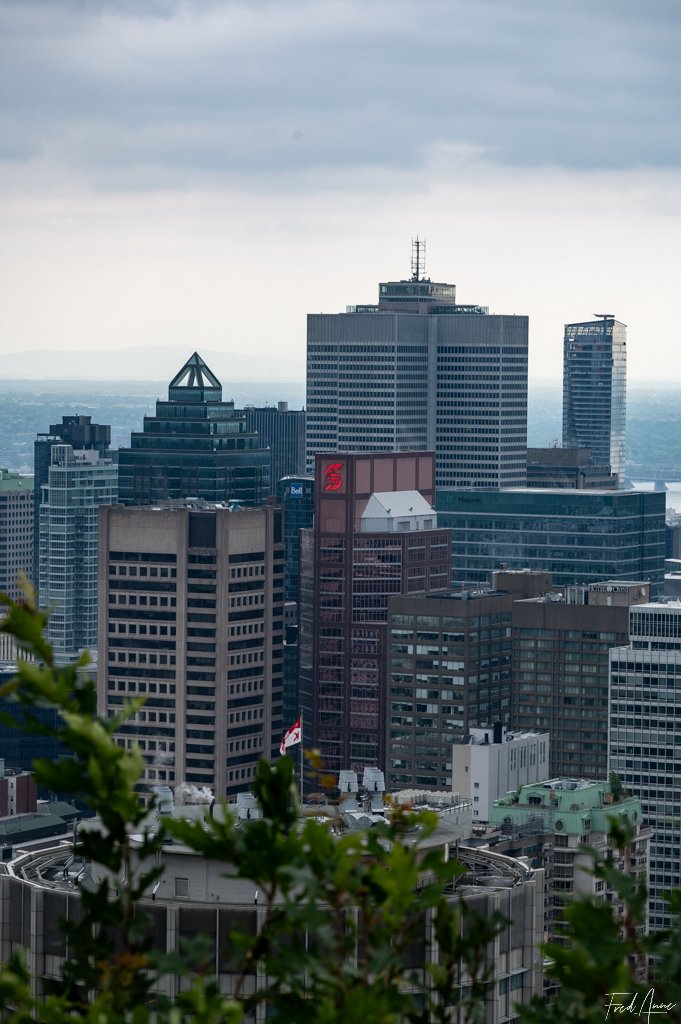 Mont-Royal – Montréal – Québec – Canada