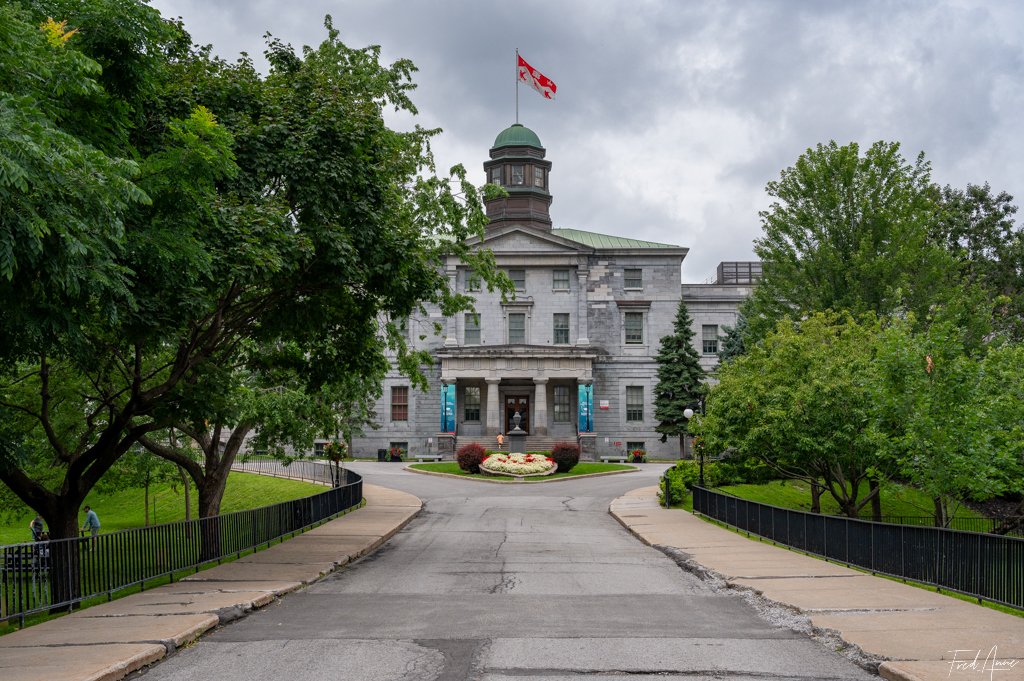 Campus McGill – Montréal – Québec – Canada