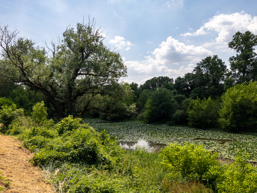 Loire à Vélo