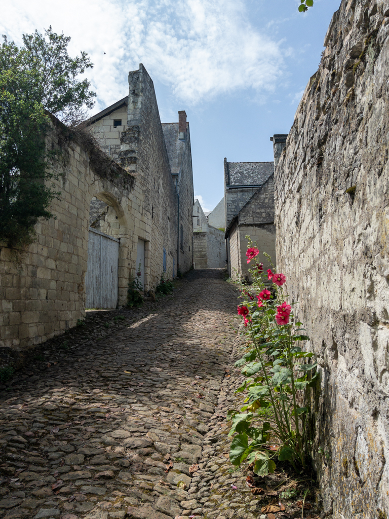 Loire à Vélo