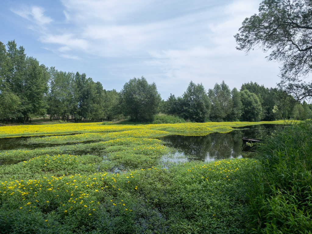 Loire à Vélo