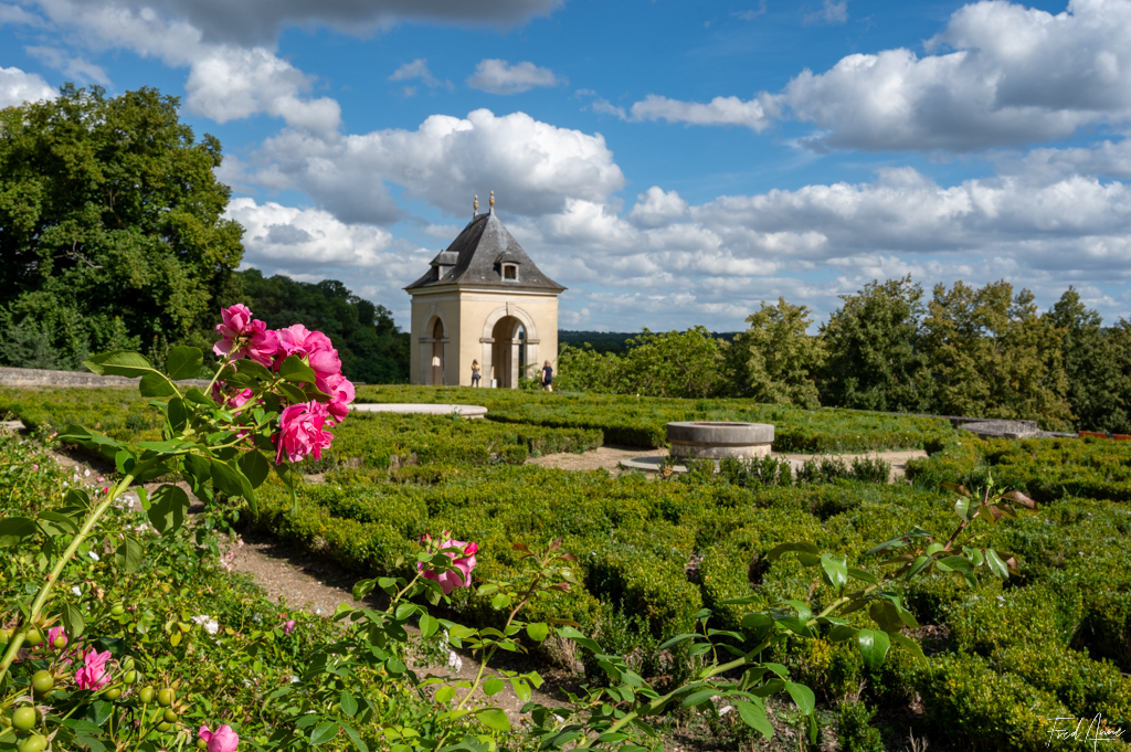 34 Roses Du Château