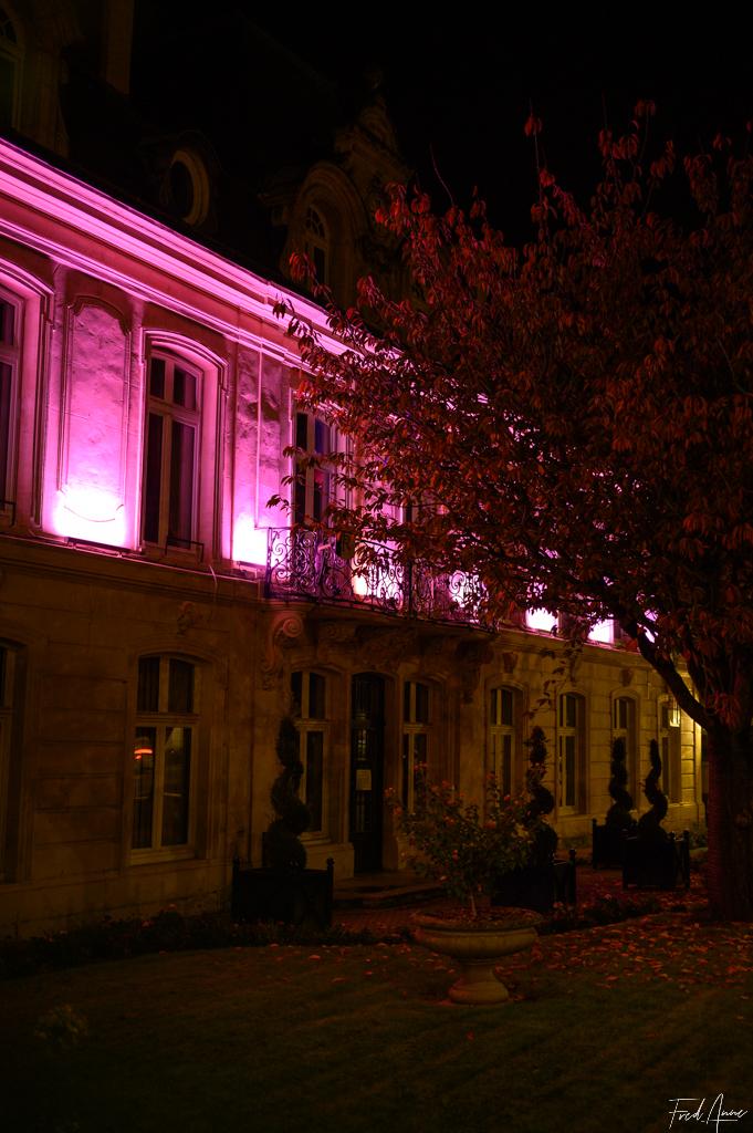 43 Octobre Rose