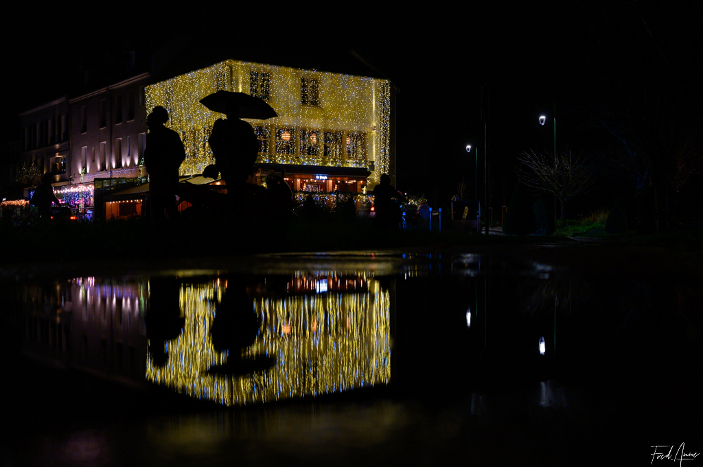 49 Reflet