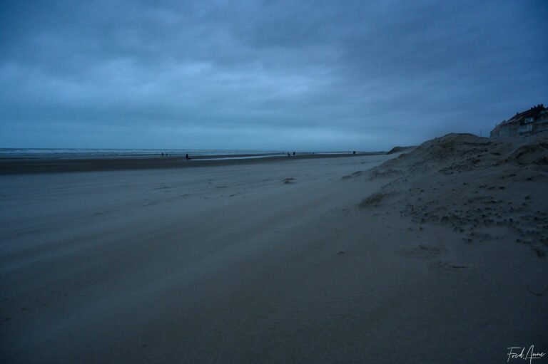 Baie de Somme-12