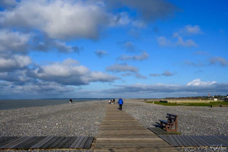 Baie de Somme-18