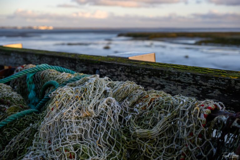 Baie de Somme-25