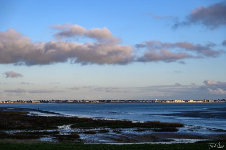 Baie de Somme-27