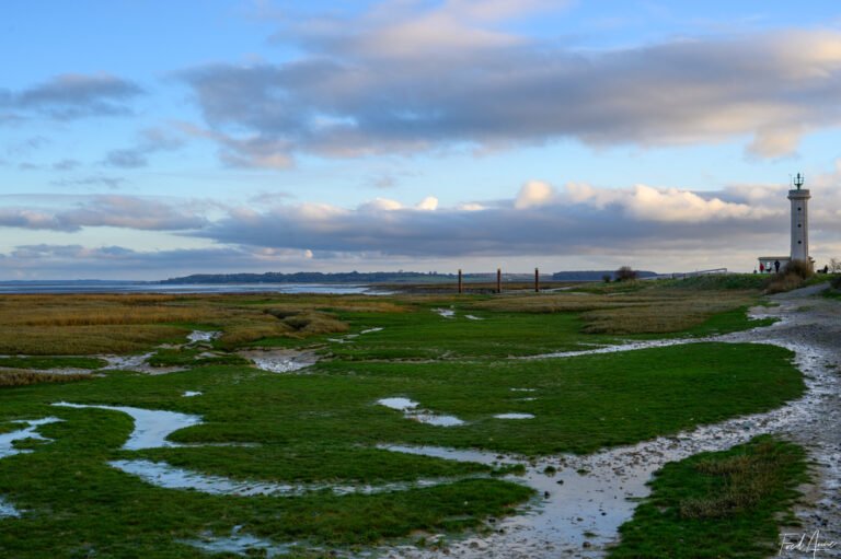 Baie de Somme-29