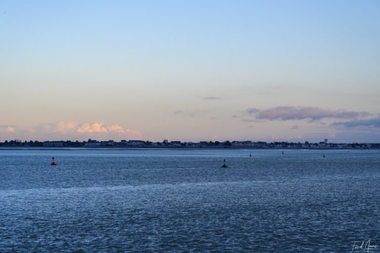 Baie de Somme-33