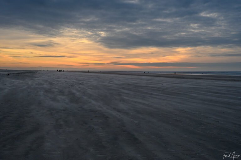 Baie de Somme-5