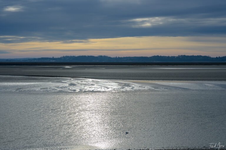 Baie de Somme-58