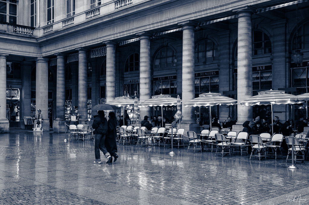 Le Nemours Place Colette