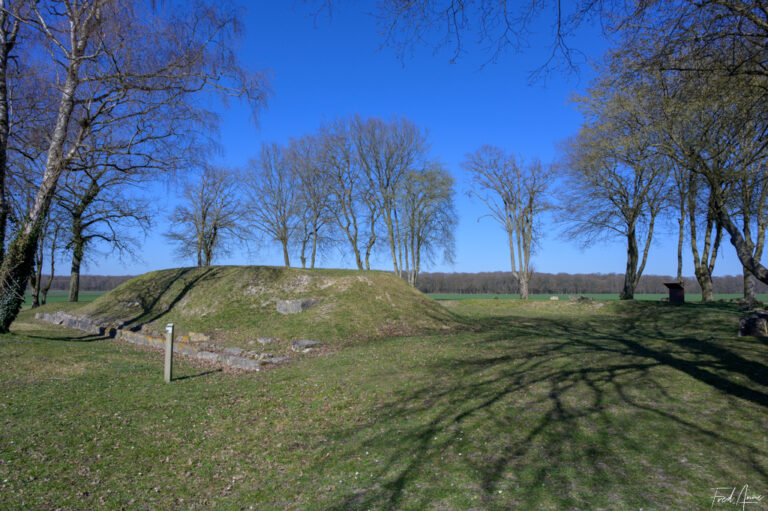 Site gallo-romain de Champlieu
Le Temple
