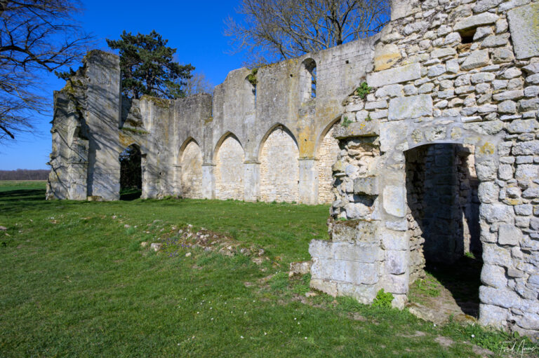 Ruine de la Chapelle romane