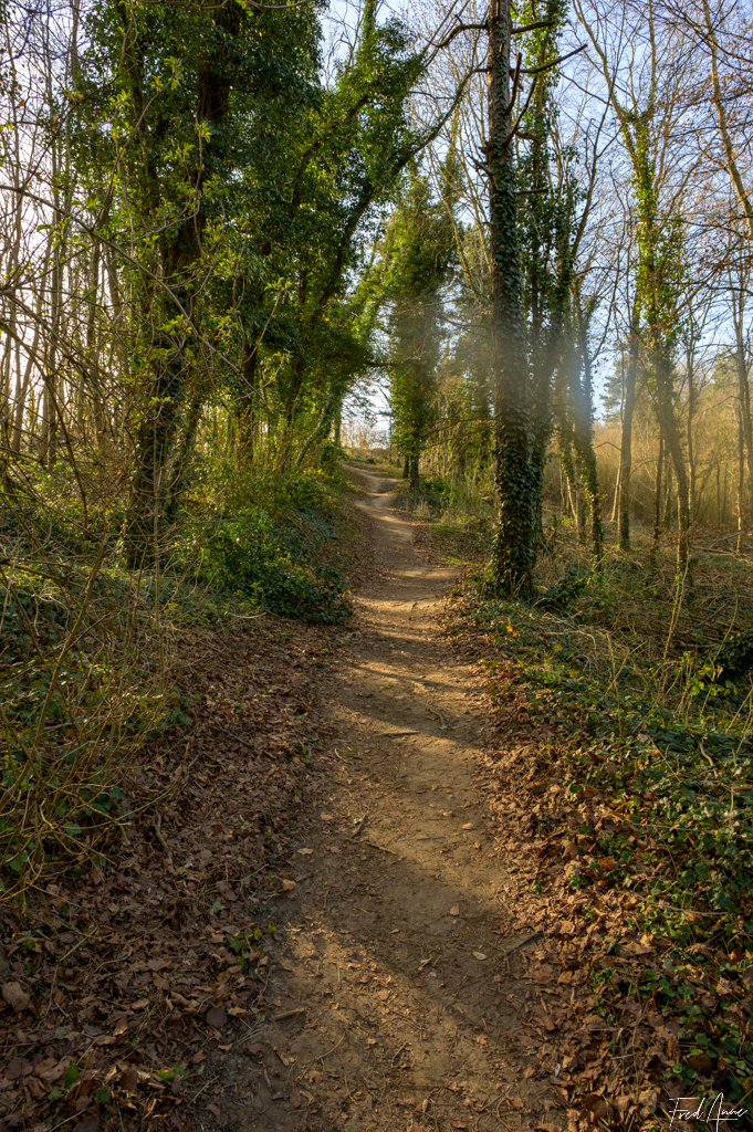 Chemin des dames-52