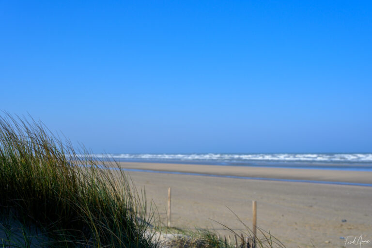 RT_Normandie_2025_106