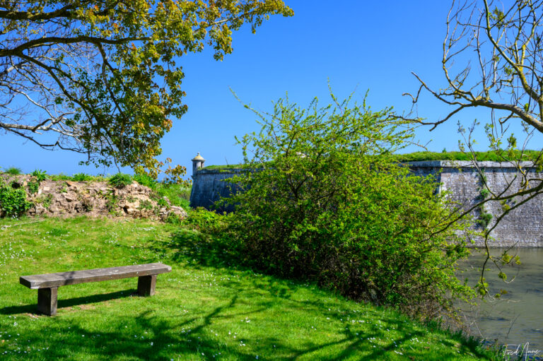 RT_Normandie_2025_122