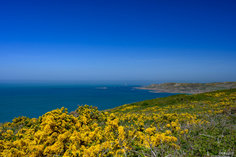 RT_Normandie_2025_200