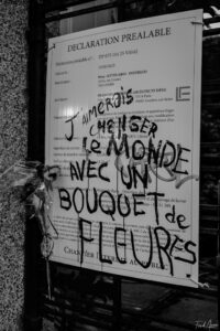 Affiche fleur