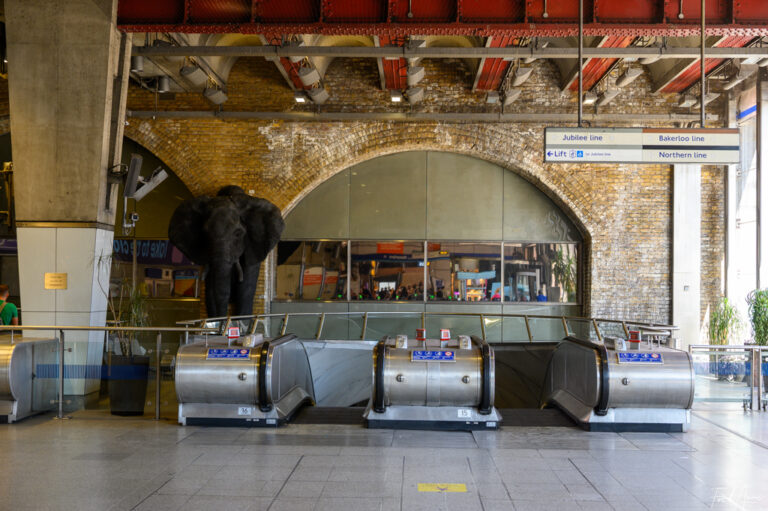 London_2025_134