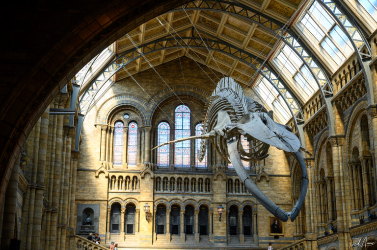 London_2025_156