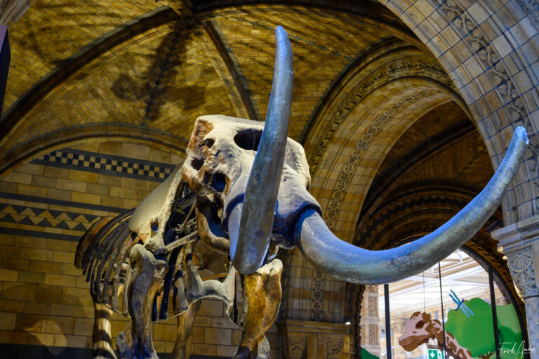 London_2025_157