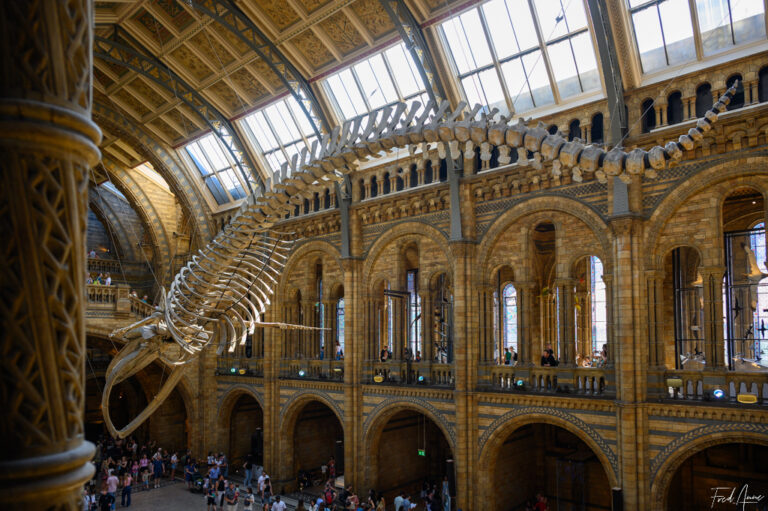 London_2025_162