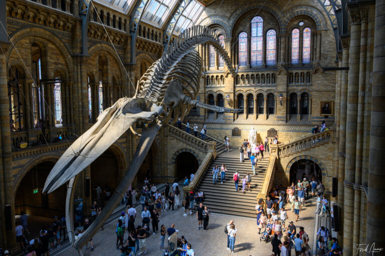 London_2025_163