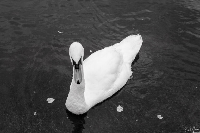 London_2025_201