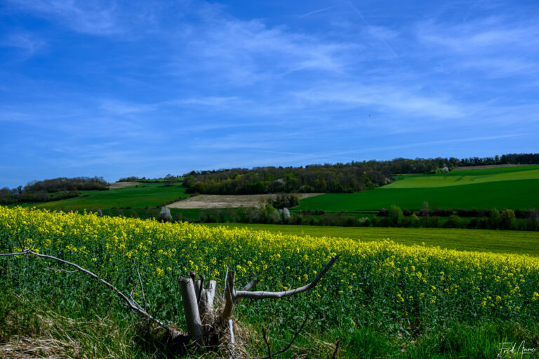 Vexin_2025_002