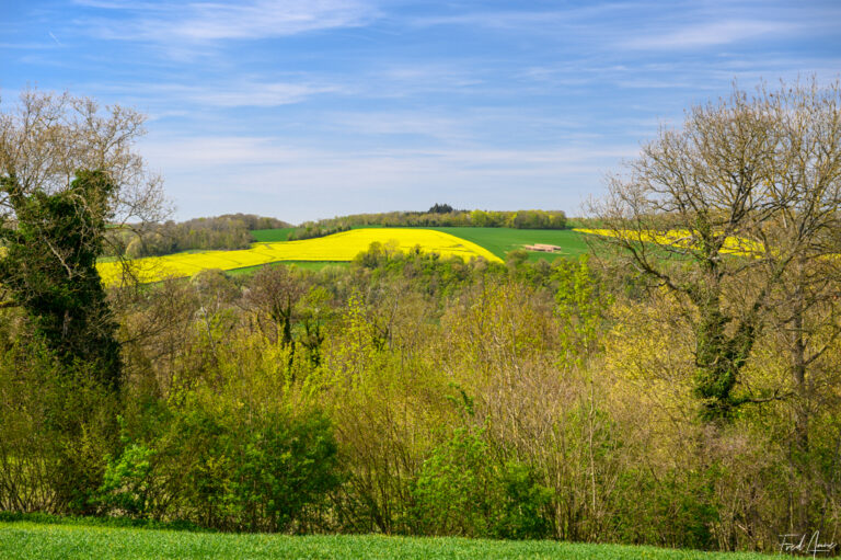 Vexin_2025_003