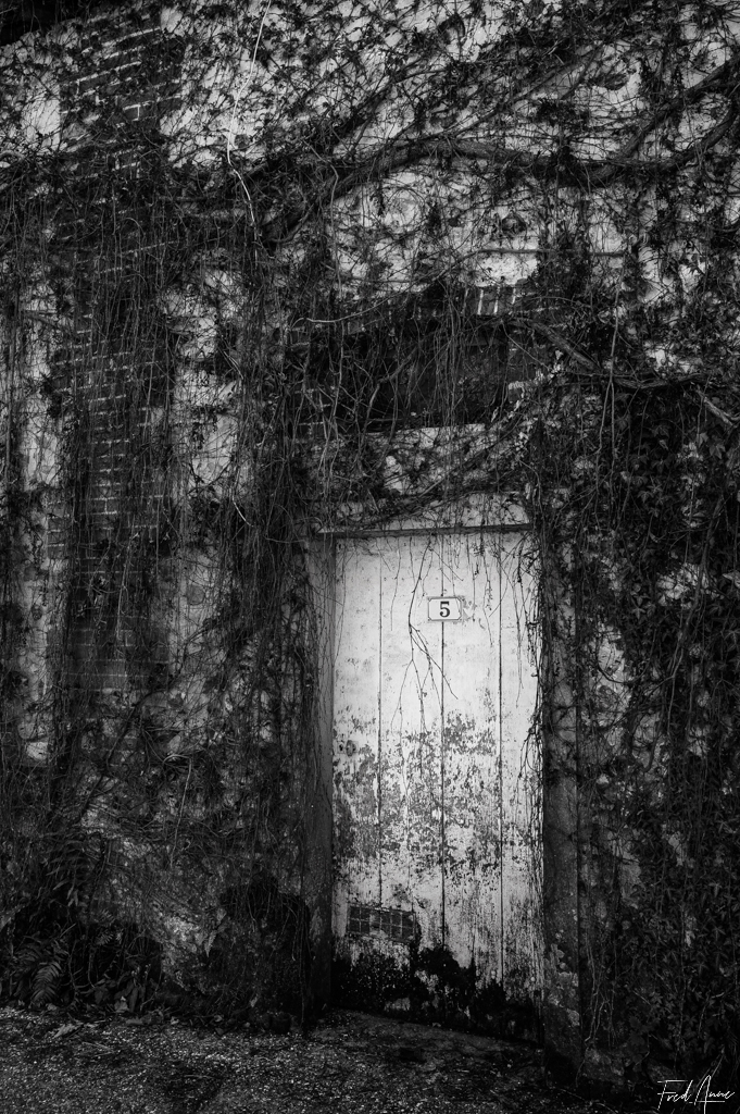 Vexin_2025_015