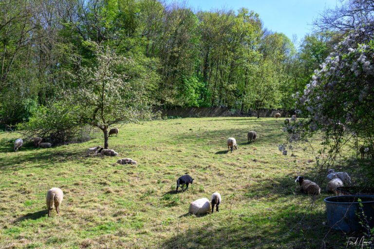 Vexin_2025_016