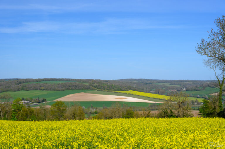 Vexin_2025_024